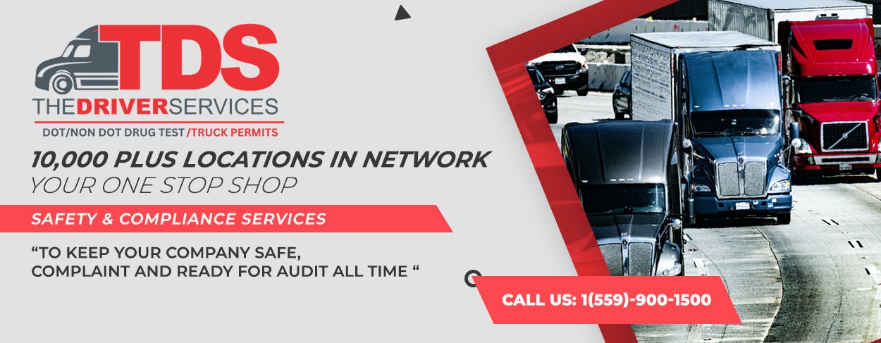 The Driver Services LLC ( TDS Truck Permit)